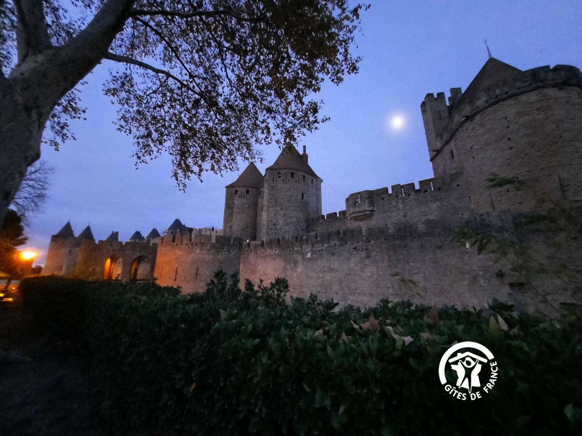 Loft Cocon Climatise - Imprenable Vue Sur Le Chateau Comtal Carcassonne Exteriör bild